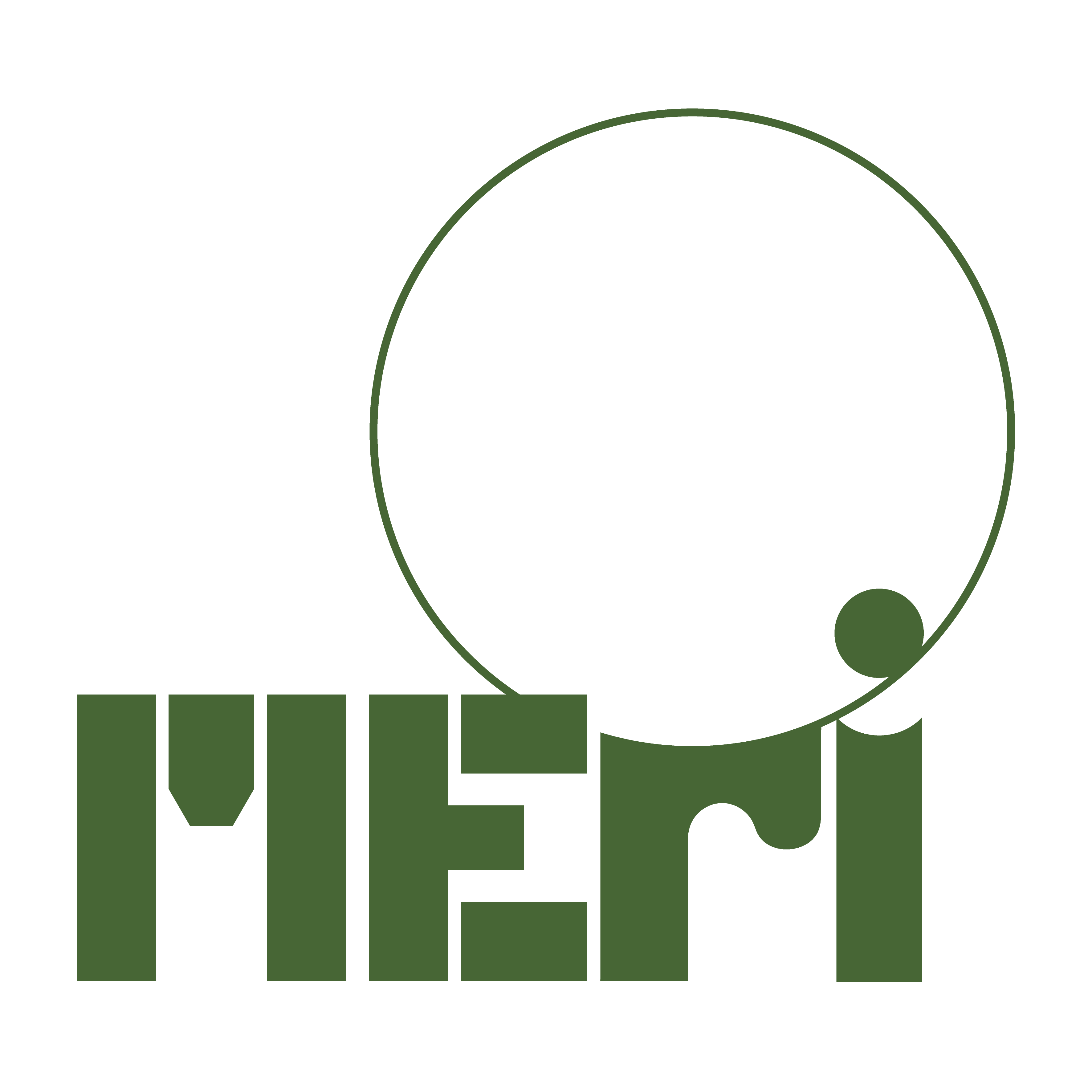 logo MERI